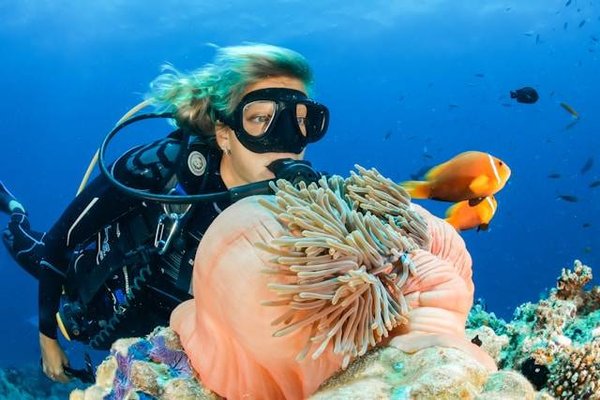 Offrez l'Aventure de la Plongée Sous-Marine : Le Guide Ultime pour un Cadeau Inoubliable